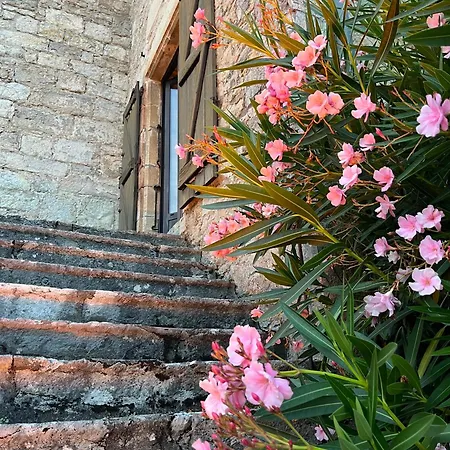 Château La Terrasse - Teritoria Hotel
