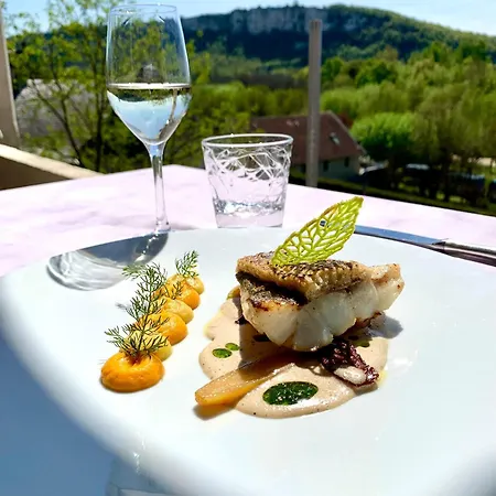 Hotel Chateau La Terrasse - Teritoria Meyronne