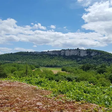 Chateau La Terrasse - Teritoria