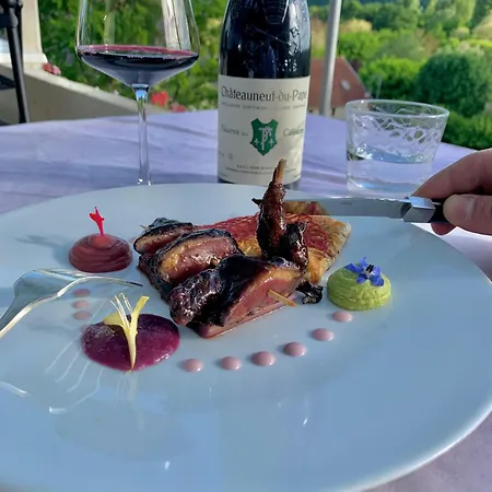 Chateau La Terrasse - Teritoria Meyronne