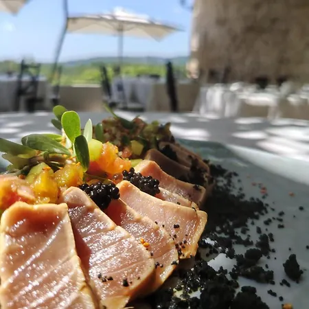 Chateau La Terrasse - Teritoria 3*